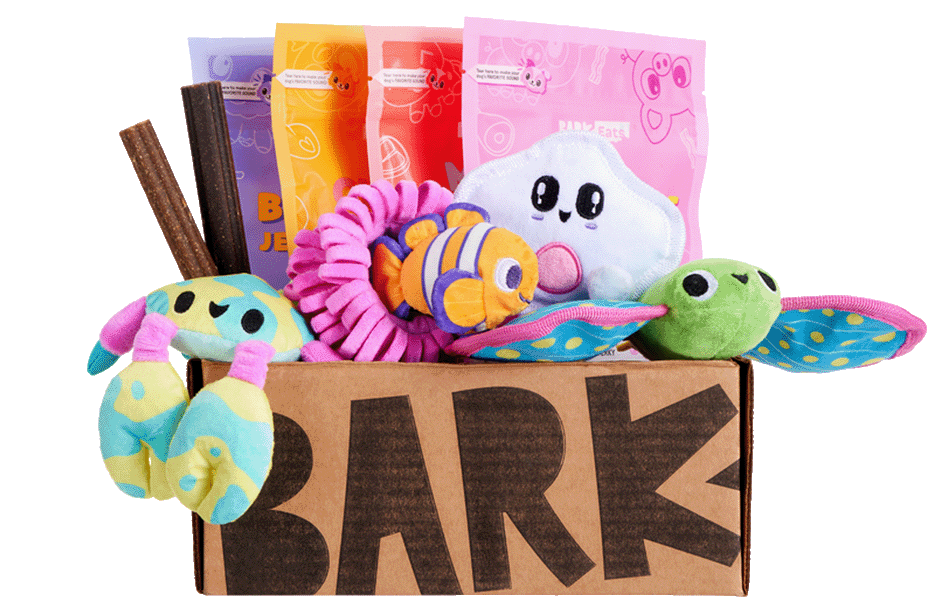 Coral Ruff Coral Reef themed Dog Toys BarkBox